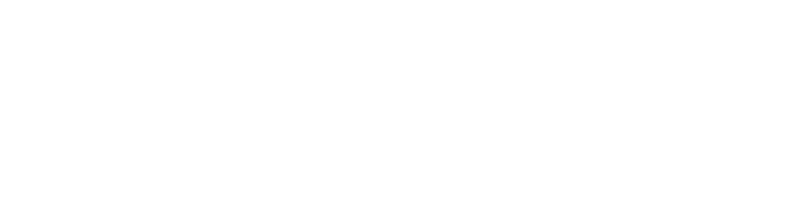 Selligent Logo